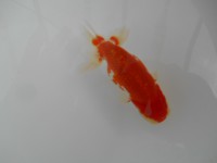 /album/%e4%b9%9f%e5%85%89%e3%82%89%e3%82%93%e3%81%a1%e3%82%85%e3%81%86/dscn0384-jpg/