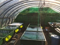 /album/%e4%b9%9f%e5%85%89%e3%82%89%e3%82%93%e3%81%a1%e3%82%85%e3%81%86/img-0241-jpg/