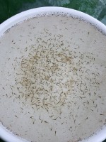 /album/%e4%b9%9f%e5%85%89%e3%82%89%e3%82%93%e3%81%a1%e3%82%85%e3%81%86/img-0266-jpg/