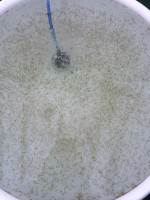 /album/%e4%b9%9f%e5%85%89%e3%82%89%e3%82%93%e3%81%a1%e3%82%85%e3%81%86/img-0165-jpg/