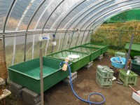 /album/%e4%b9%9f%e5%85%89%e3%82%89%e3%82%93%e3%81%a1%e3%82%85%e3%81%86/dscn0259-jpg/