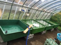 /album/%e4%b9%9f%e5%85%89%e3%82%89%e3%82%93%e3%81%a1%e3%82%85%e3%81%86/img-0177-jpg/