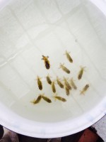 /album/%e4%b9%9f%e5%85%89%e3%82%89%e3%82%93%e3%81%a1%e3%82%85%e3%81%86/img-0512-jpg/