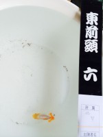 /album/%e4%b9%9f%e5%85%89%e3%82%89%e3%82%93%e3%81%a1%e3%82%85%e3%81%86/img-0555-jpg/